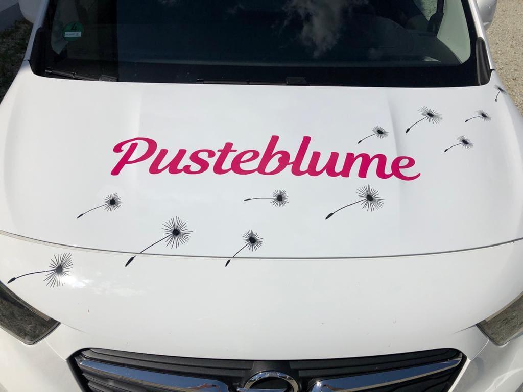 Autobeschriftung Pusteblume